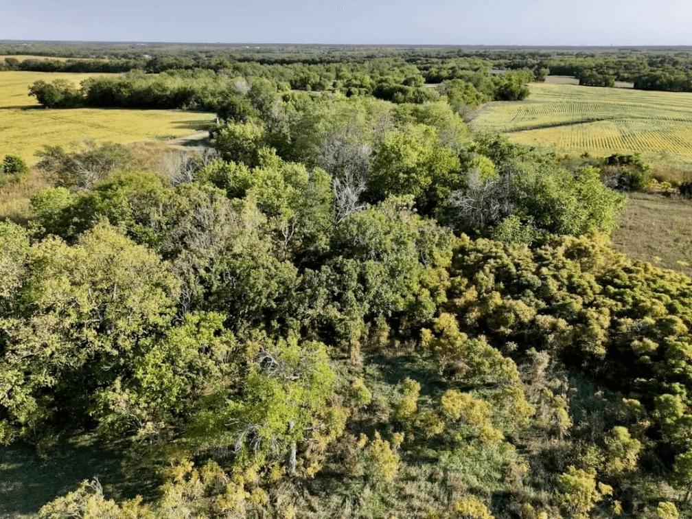 114+- Acres on Greenwich near 101st St North, Sedgwick County, Kansas photo 9