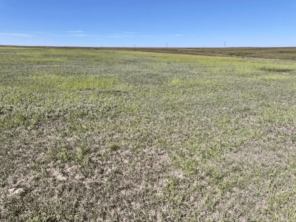 154.3 Acres Northern Butler County, Kansas Near Burns – Tillable Farm Ground, Oil Income, Hay Meadow photo 3