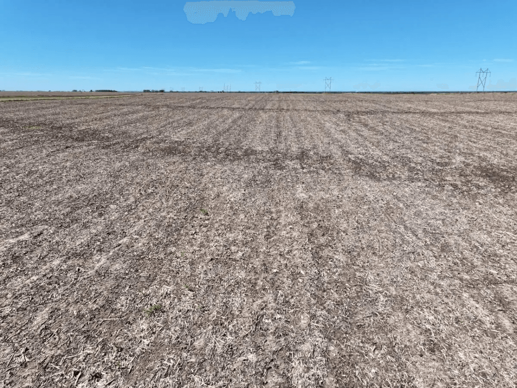 154.3 Acres Northern Butler County, Kansas Near Burns – Tillable Farm Ground, Oil Income, Hay Meadow photo 8