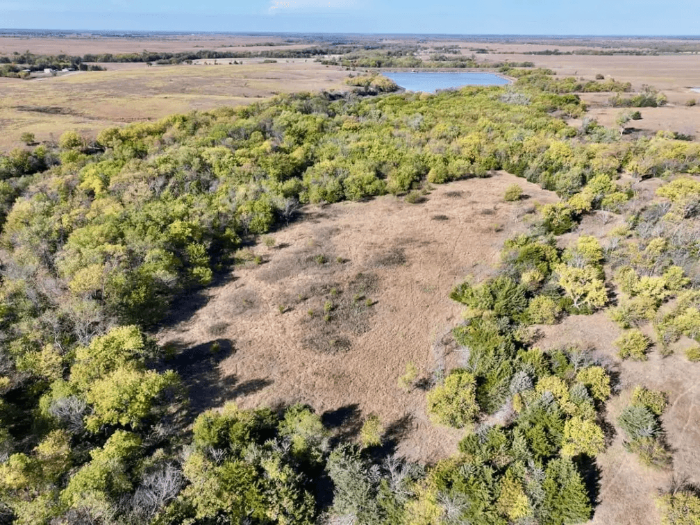 308 Acres in Butler County Kansas: Watershed Lake, Ponds, Pasture, Creek & Timber  photo 5