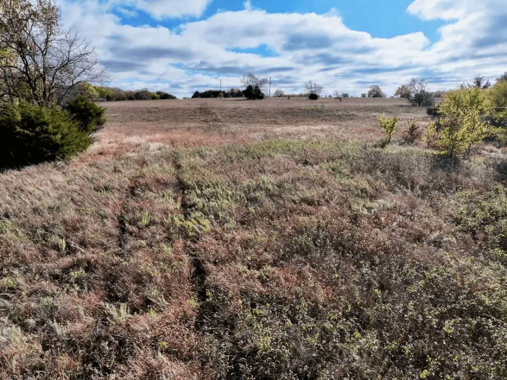 7.4 Acres Between El Dorado & Leon, Kansas on Bluestem Rd – Pond, Trees, Pasture, Blacktop Frontage photo 8