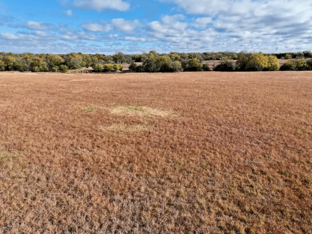 7.4 Acres Between El Dorado & Leon, Kansas on Bluestem Rd – Pond, Trees, Pasture, Blacktop Frontage photo 9