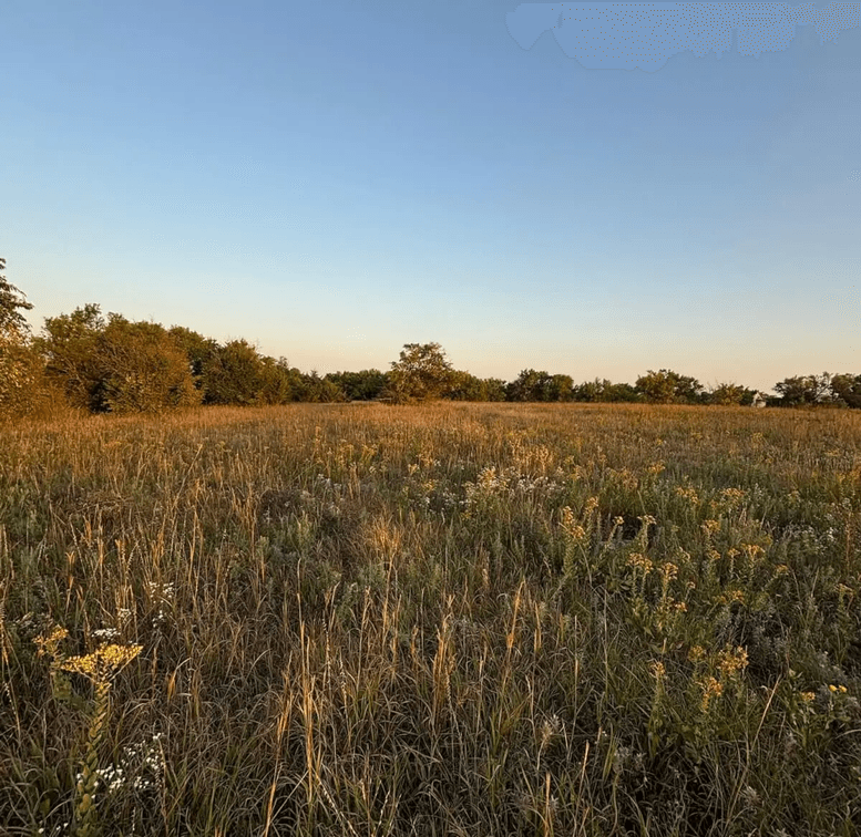 7.4 Acres Between El Dorado & Leon, Kansas on Bluestem Rd – Pond, Trees, Pasture, Blacktop Frontage photo 10