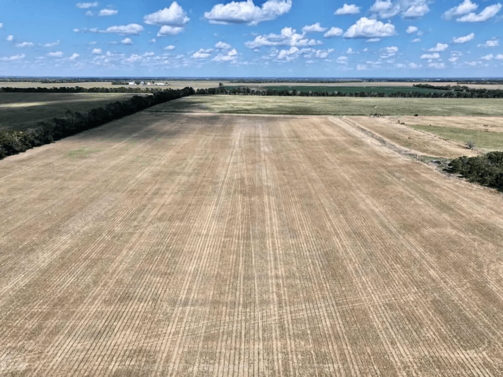 78.8 Acres Harvey County, Kansas Land Between Whitewater & Newton photo 3