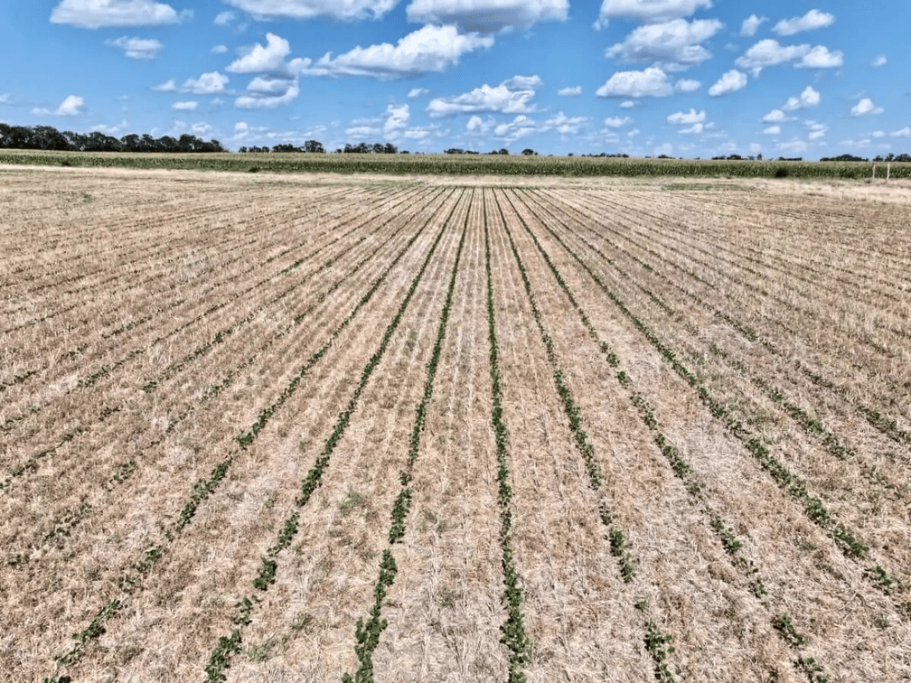 78.8 Acres Harvey County, Kansas Land Between Whitewater & Newton photo 4