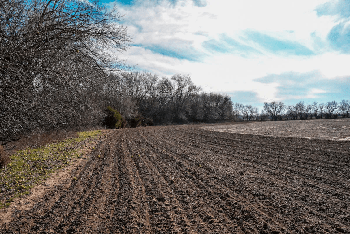 60+- Acres Sedgwick County, Kansas – Future Development Land Near Valley Center photo 3
