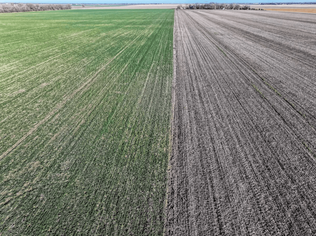 179.3 Acres Harvey County, Kansas Tillable Farm Ground North of Sedgwick photo 9