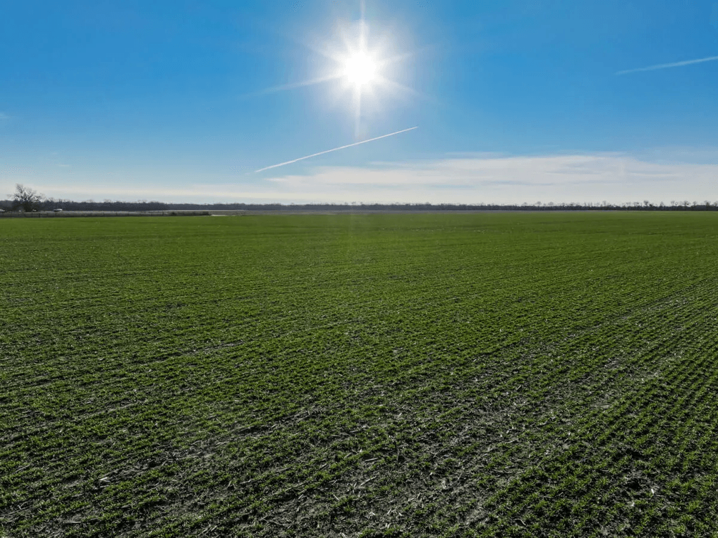 179.3 Acres Harvey County, Kansas Tillable Farm Ground North of Sedgwick photo 7