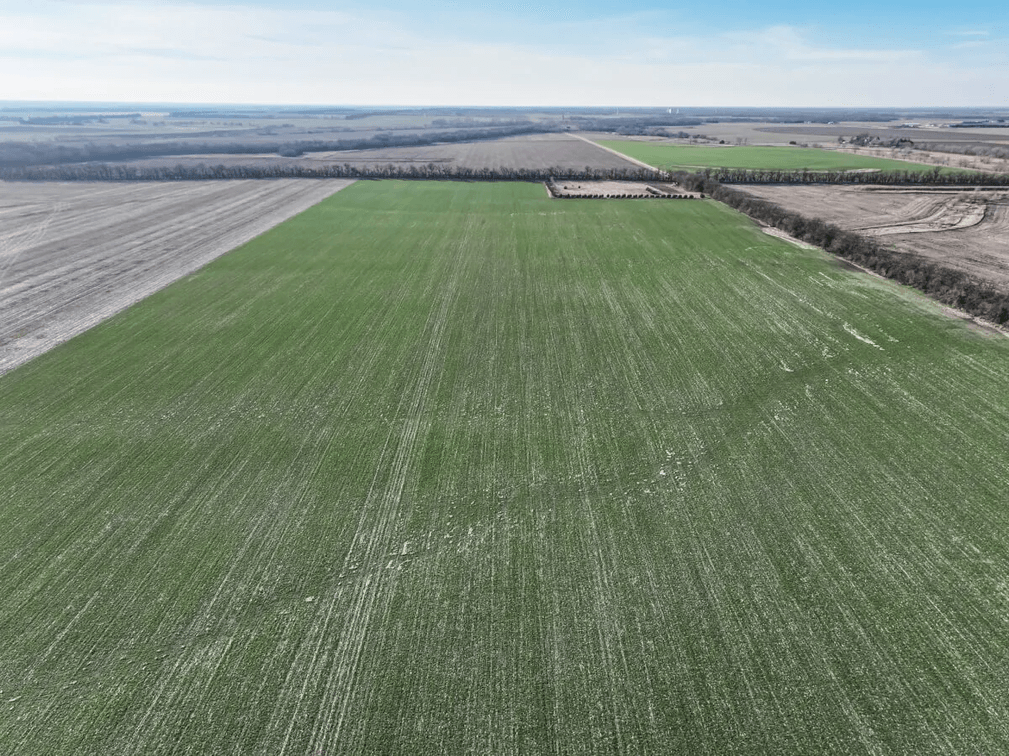 179.3 Acres Harvey County, Kansas Tillable Farm Ground North of Sedgwick photo 8