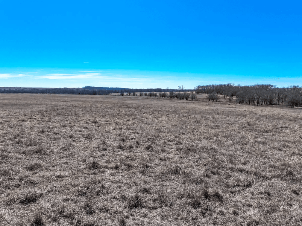 80+- Acres Cowley County, Kansas Flint Hills Pasture Between Cambridge and Latham photo 3