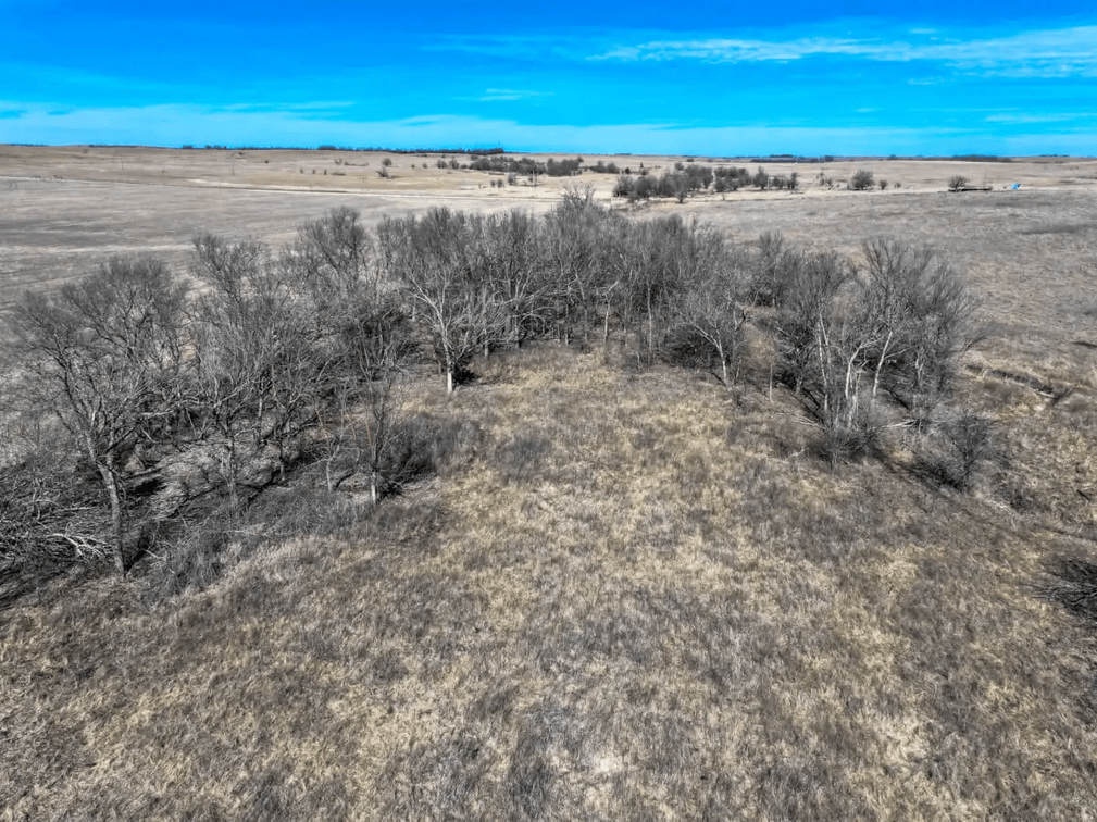 80+- Acres Cowley County, Kansas Flint Hills Pasture Between Cambridge and Latham photo 7