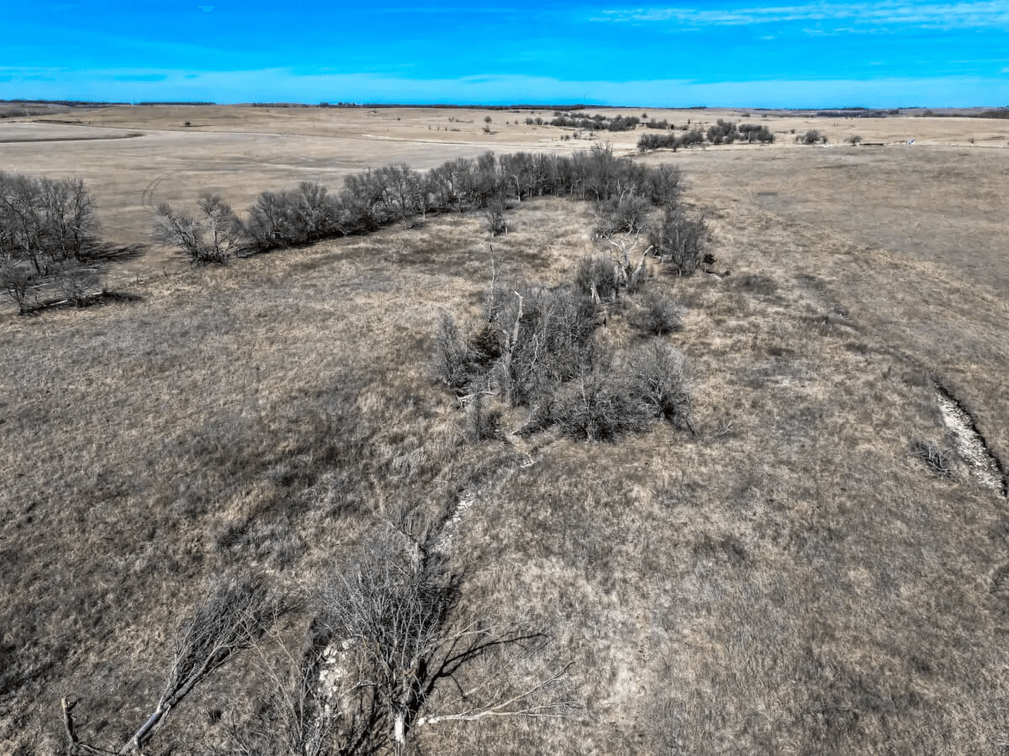 80+- Acres Cowley County, Kansas Flint Hills Pasture Between Cambridge and Latham photo 9
