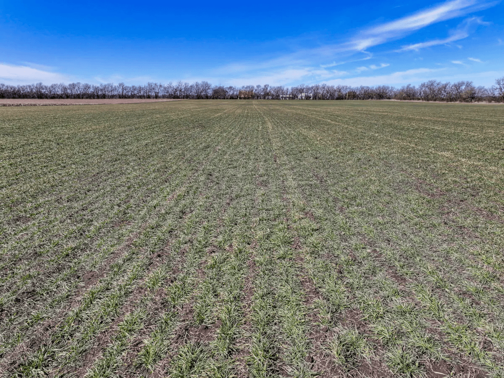 40+- Acres Farmland Northeast of Sedgwick in Harvey County, Kansas photo 2