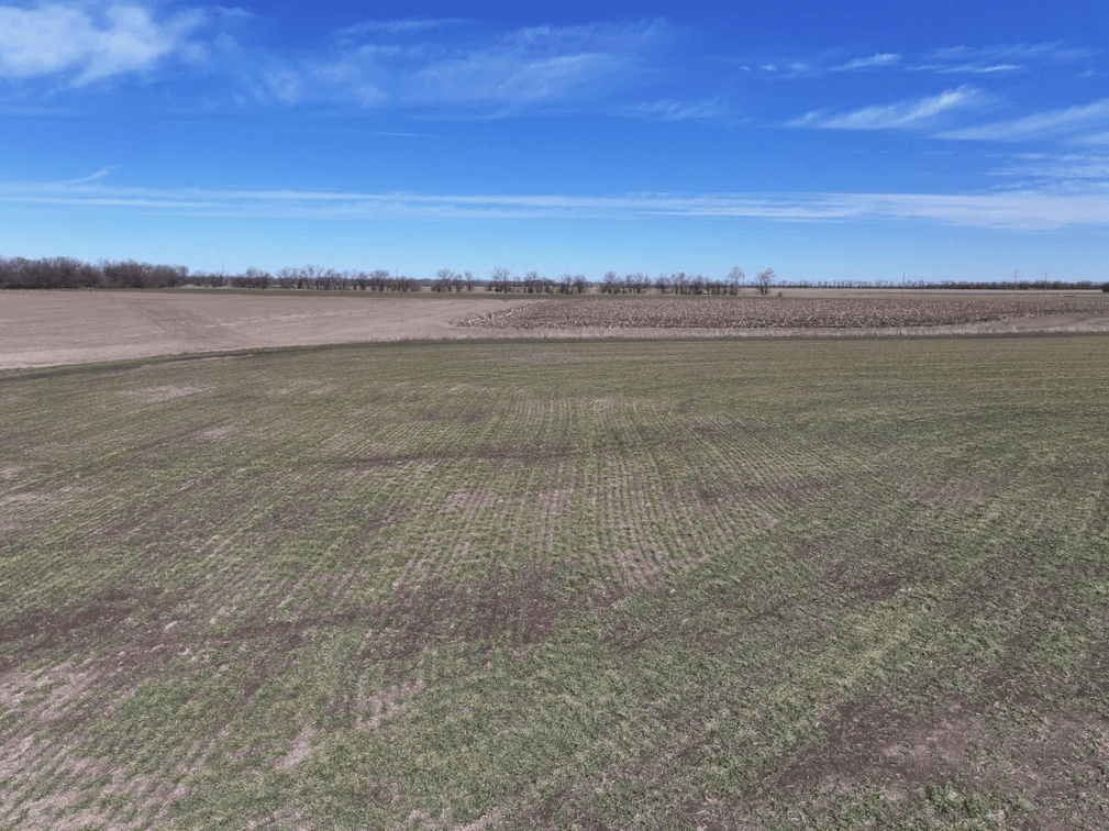 40+- Acres Farmland Northeast of Sedgwick in Harvey County, Kansas photo 7