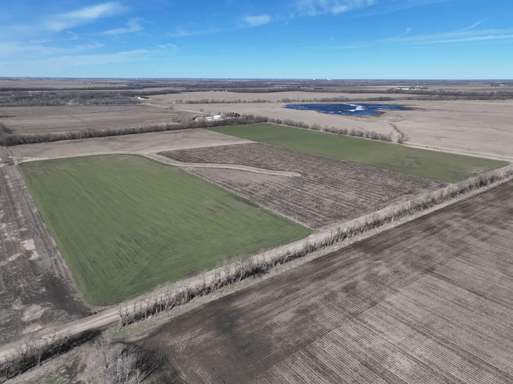 40+- Acres Farmland Northeast of Sedgwick in Harvey County, Kansas photo 6