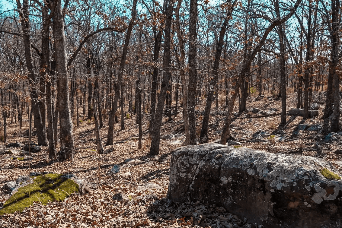 136.5 Acres Chautauqua County, Kansas Land For Sale East of Sedan photo 5
