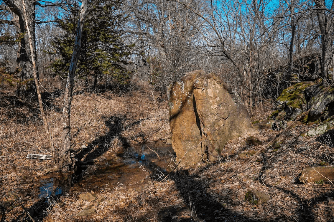 136.5 Acres Chautauqua County, Kansas Land For Sale East of Sedan photo 4