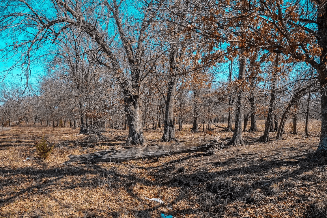136.5 Acres Chautauqua County, Kansas Land For Sale East of Sedan photo 6