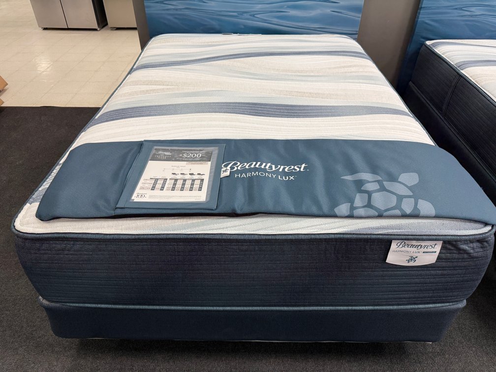 Charley’s Appliance and Mattress Gallery: Excess Inventory Reduction Auction photo 4