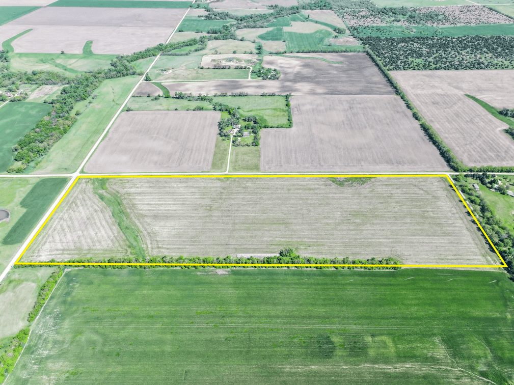 44.6 Acres Tillable Land Auction East of Goessel, Marion County, Kansas photo 2