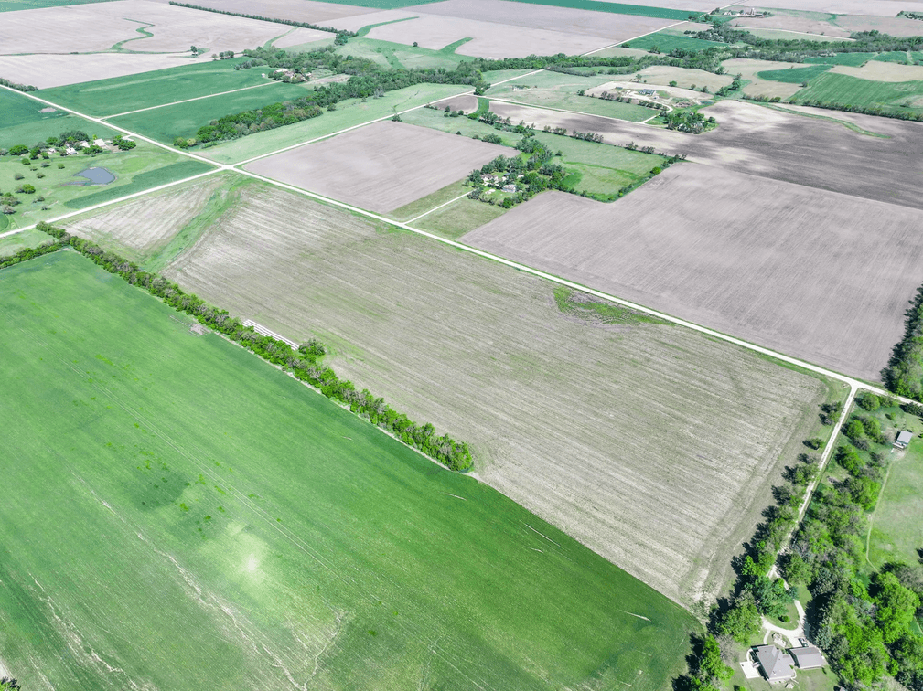 44.6 Acres Tillable Land Auction East of Goessel, Marion County, Kansas photo 3