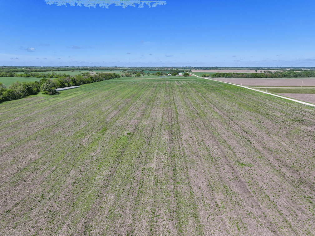 44.6 Acres Tillable Land Auction East of Goessel, Marion County, Kansas photo 7