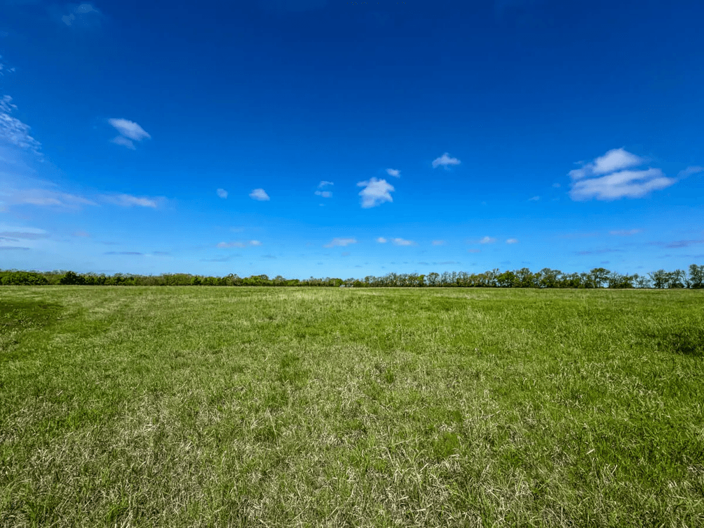 7802 S Harvest Hill Rd., Whitewater, KS – 39 Acres Pasture, Trees & Barn photo 9