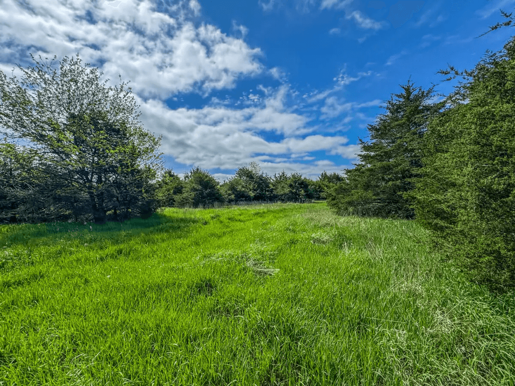 7802 S Harvest Hill Rd., Whitewater, KS – 39 Acres Pasture, Trees & Barn photo 10