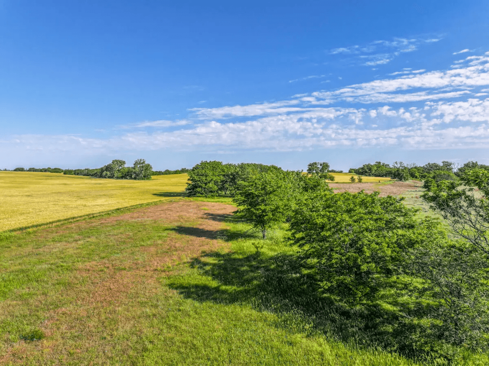 160 Acres Tillable Farm Ground, Kingman County, Kansas photo 4