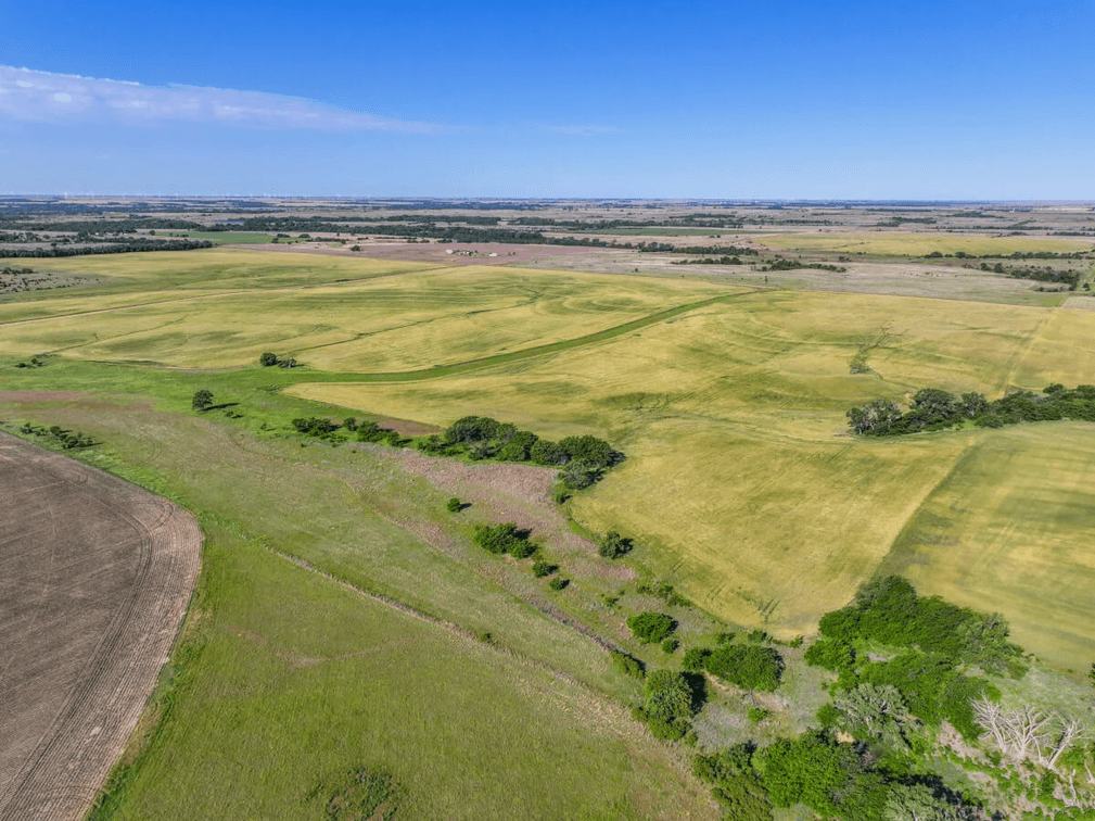 160 Acres Tillable Farm Ground, Kingman County, Kansas photo 5