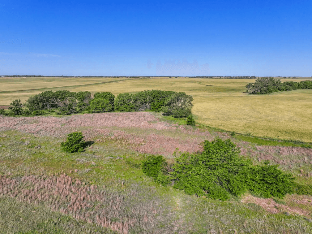 160 Acres Tillable Farm Ground, Kingman County, Kansas photo 6