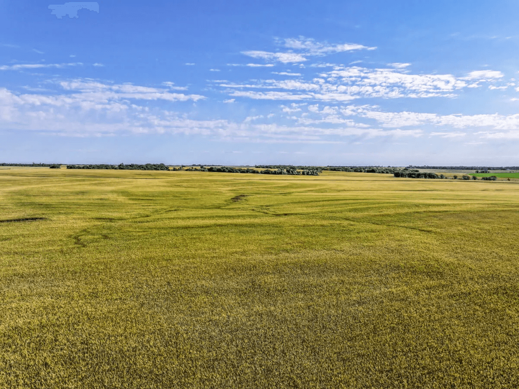 160 Acres Tillable Farm Ground, Kingman County, Kansas photo 10