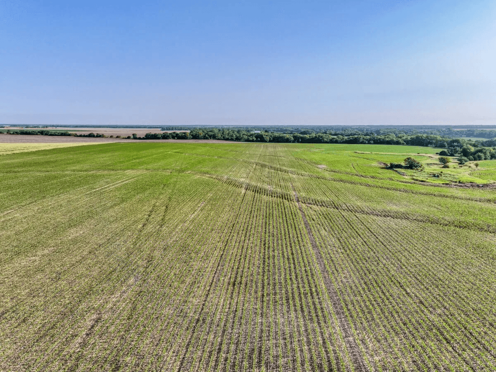 80 Acres Tillable Farm Ground West of Whitewater in Harvey County, Kansas photo 5