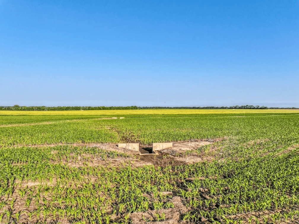 80 Acres Tillable Farm Ground West of Whitewater in Harvey County, Kansas photo 8