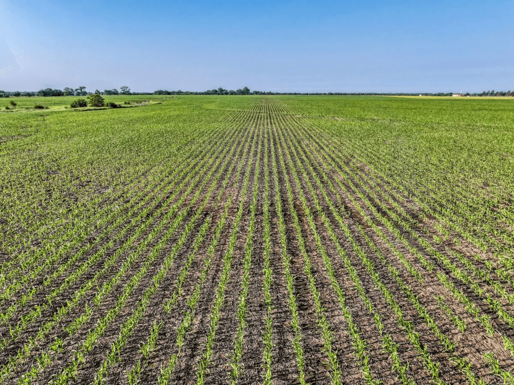 80 Acres Tillable Farm Ground West of Whitewater in Harvey County, Kansas photo 10