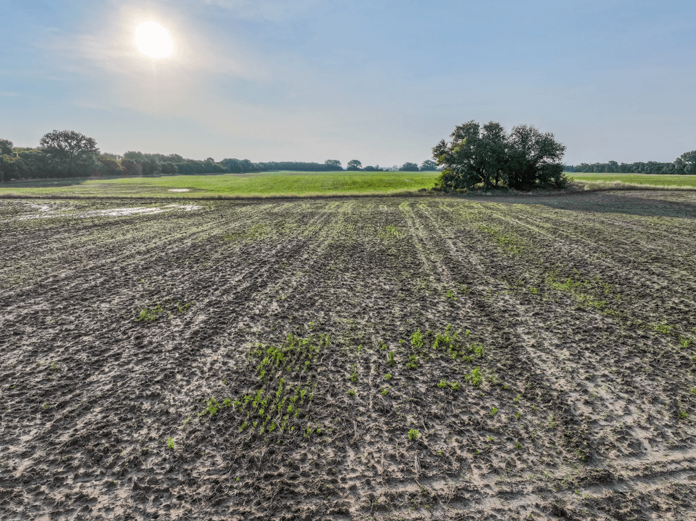 77.1 Acres Reno County, Kansas Tillable Farm Ground w/ Oil Production photo 6
