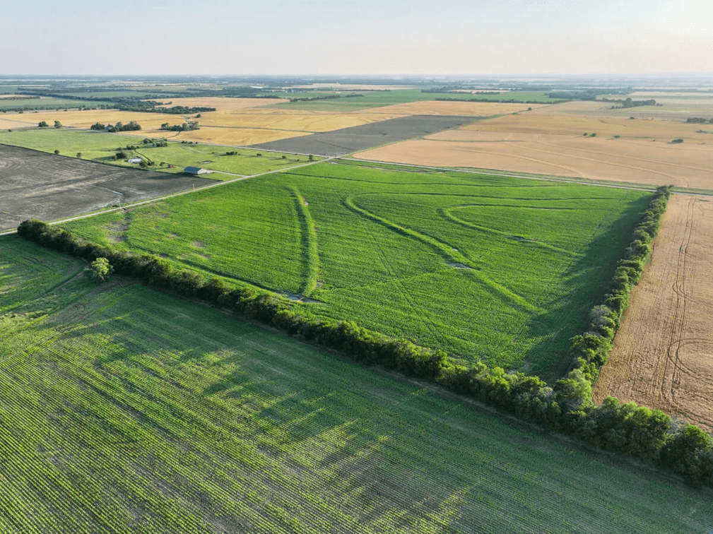 40+- Acres Between Goessel and Peabody, Marion County, Kansas photo 6