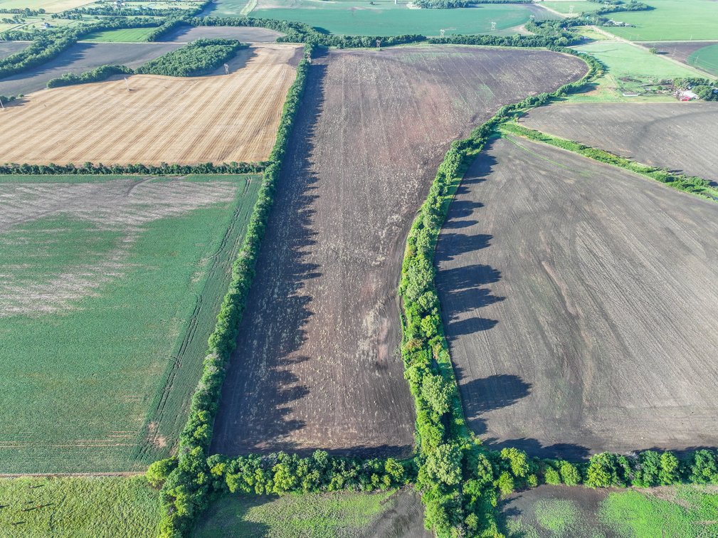 100 Acres Sedgwick County, Kansas Tillable Farm Ground Between Valley Center & Sedgwick photo 4