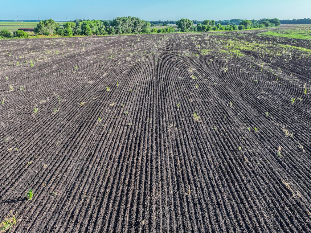 100 Acres Sedgwick County, Kansas Tillable Farm Ground Between Valley Center & Sedgwick photo 7