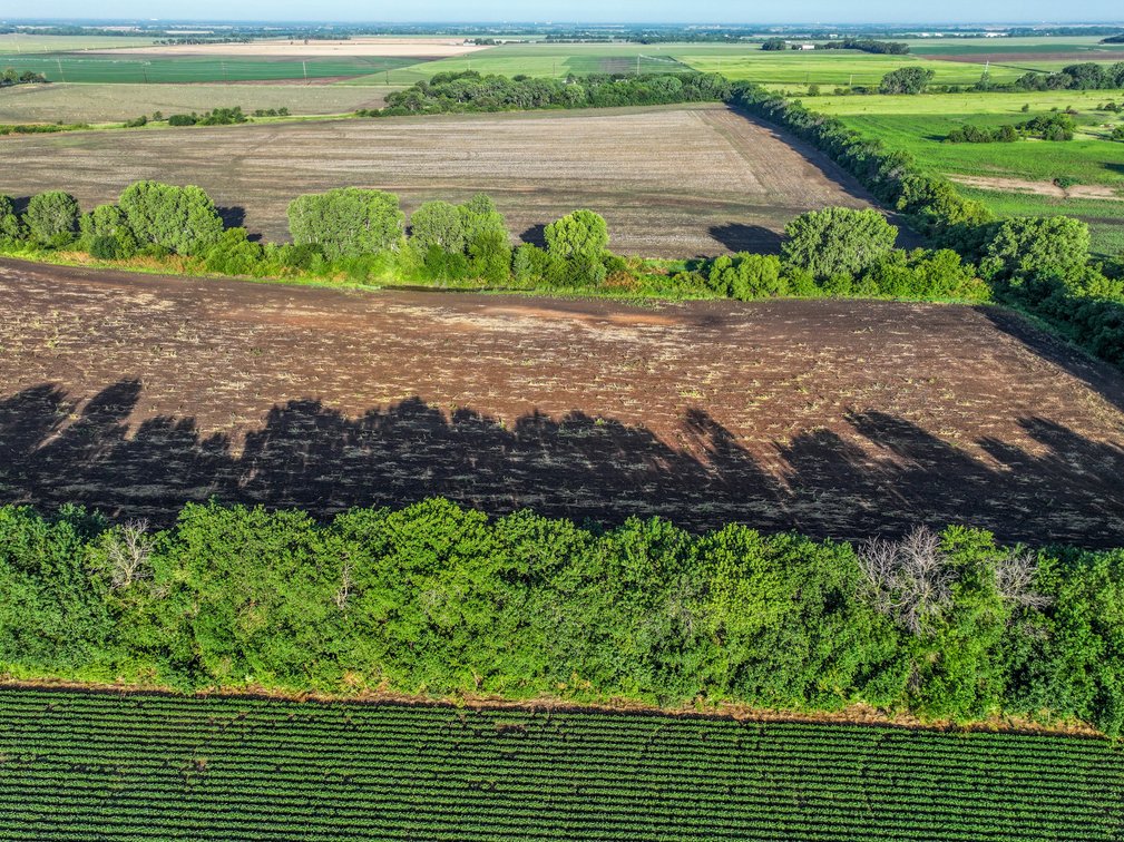 100 Acres Sedgwick County, Kansas Tillable Farm Ground Between Valley Center & Sedgwick photo 6