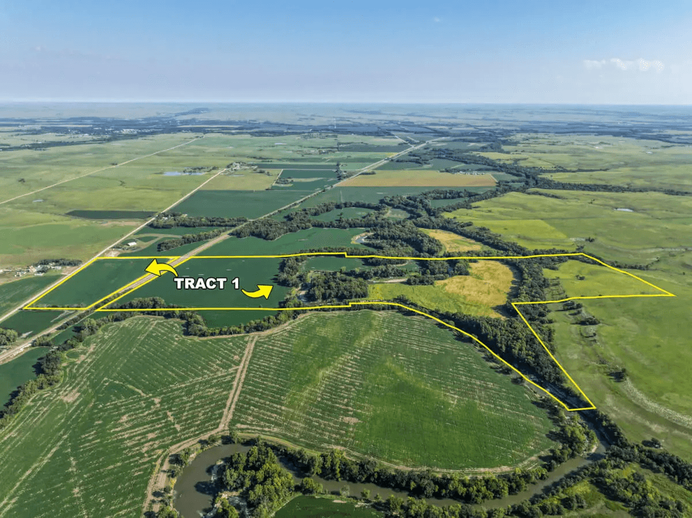 352.7 Acres Chase County, Kansas: Cottonwood River, Tillable, Pasture, Trees & Big Deer photo 2