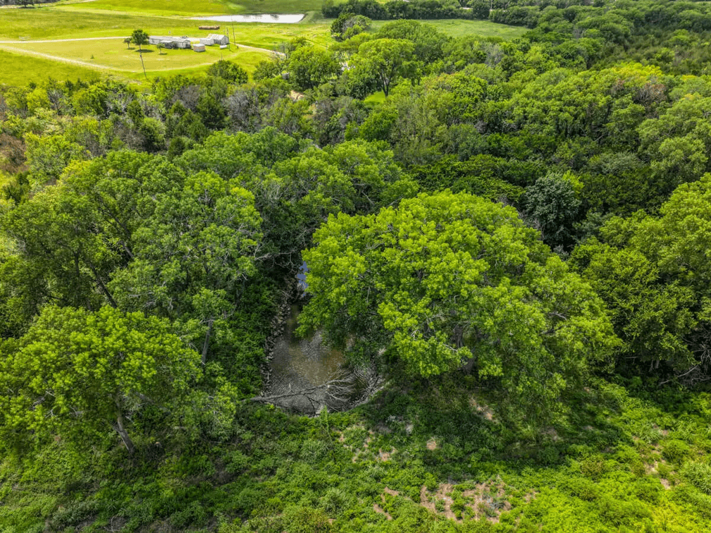37.5 Acres Butler County, Kansas Land For Sale: Creek, Trees & Blacktop Frontage photo 4
