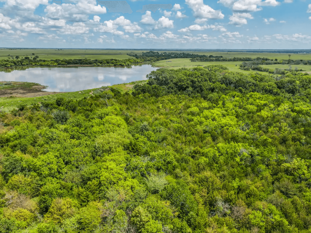 37.5 Acres Butler County, Kansas Land For Sale: Creek, Trees & Blacktop Frontage photo 3