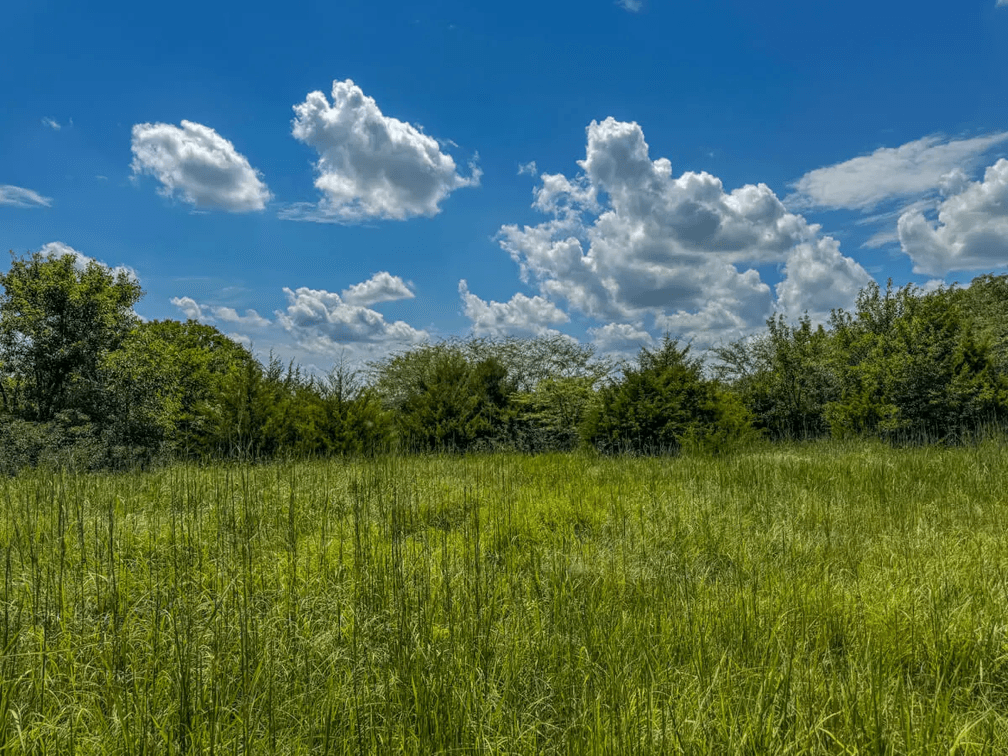 37.5 Acres Butler County, Kansas Land For Sale: Creek, Trees & Blacktop Frontage photo 10