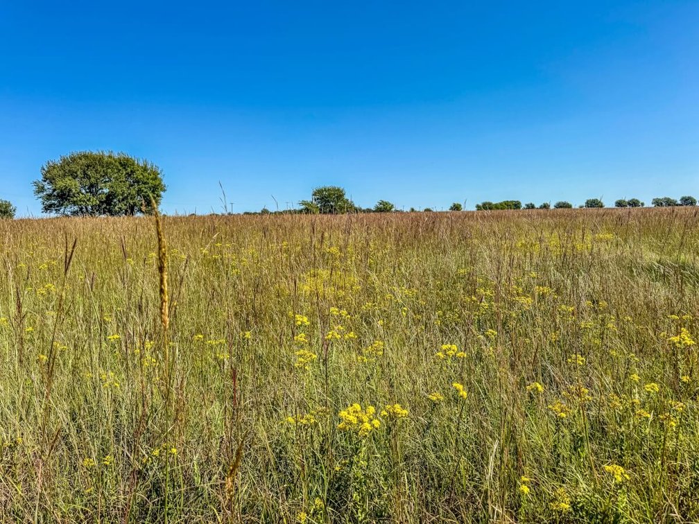 550 Acres Flint Hills Pasture & Tillable – Marion County, KS Near Florence photo 2