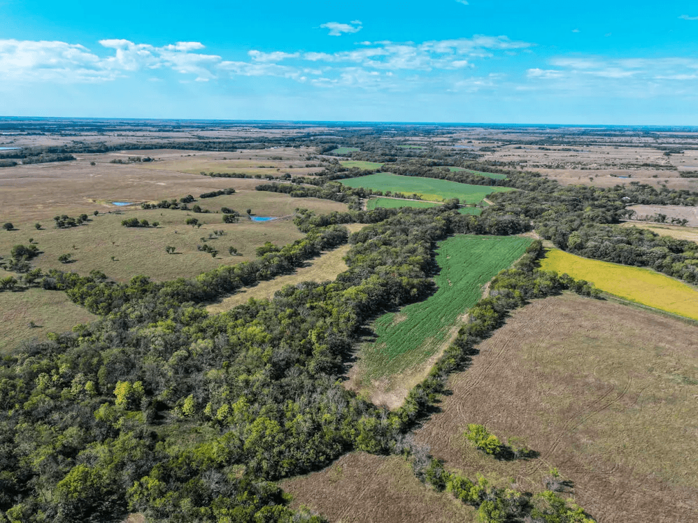 40.3 Acres Butler County, Kansas – Creek, River, Trees, Tillable & Hunting! photo 3