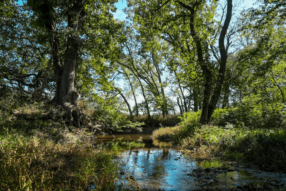 40.3 Acres Butler County, Kansas – Creek, River, Trees, Tillable & Hunting! photo 4