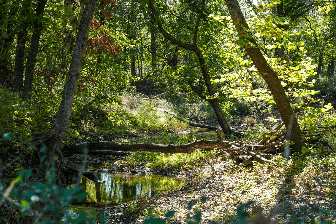 40.3 Acres Butler County, Kansas – Creek, River, Trees, Tillable & Hunting! photo 5