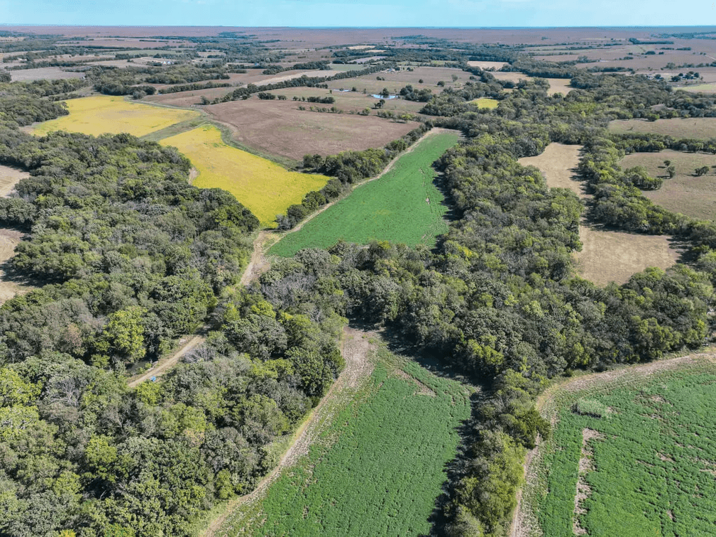 40.3 Acres Butler County, Kansas – Creek, River, Trees, Tillable & Hunting! photo 9