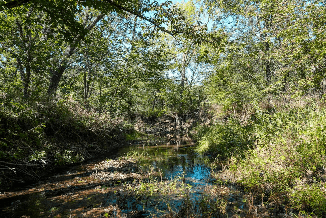 40.3 Acres Butler County, Kansas – Creek, River, Trees, Tillable & Hunting! photo 6